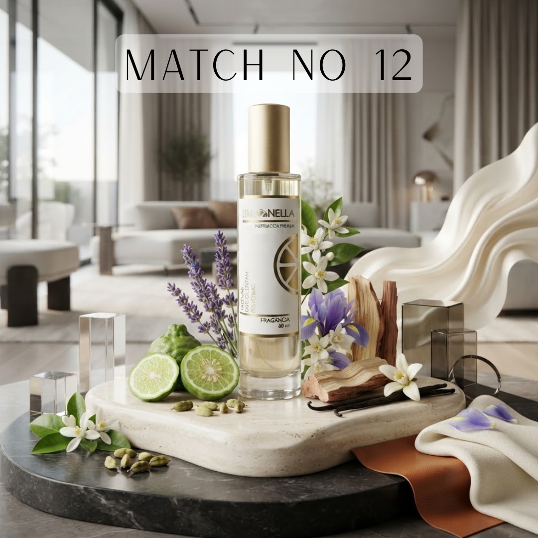 MATCH No. 12