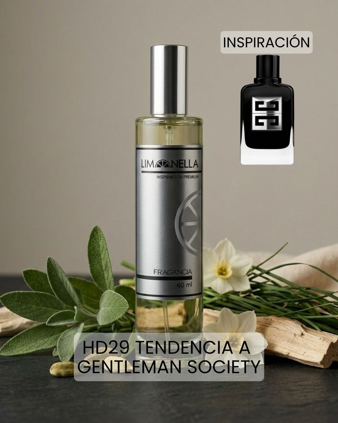 HD29 Tendencia a Gentleman Society