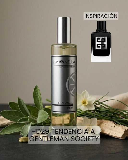 HD29 Tendencia a Gentleman Society