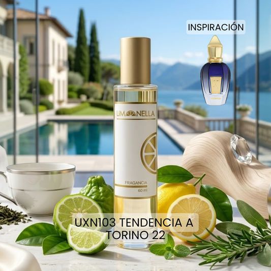 UXN103 Tendencia a Torino22 Xerjoff